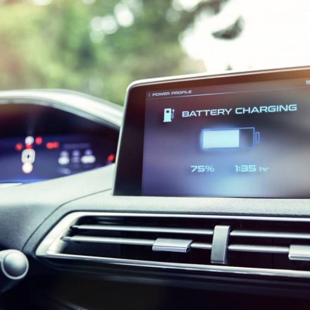 image-electrique-curiosite-certitude_2026-03-03_01-28-02