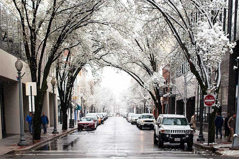 achat bache de voiture
