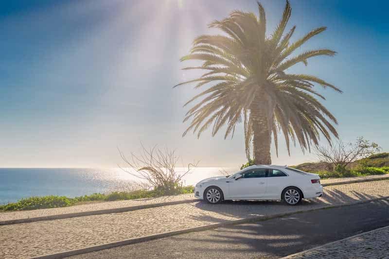 achat pare soleil voiture universel