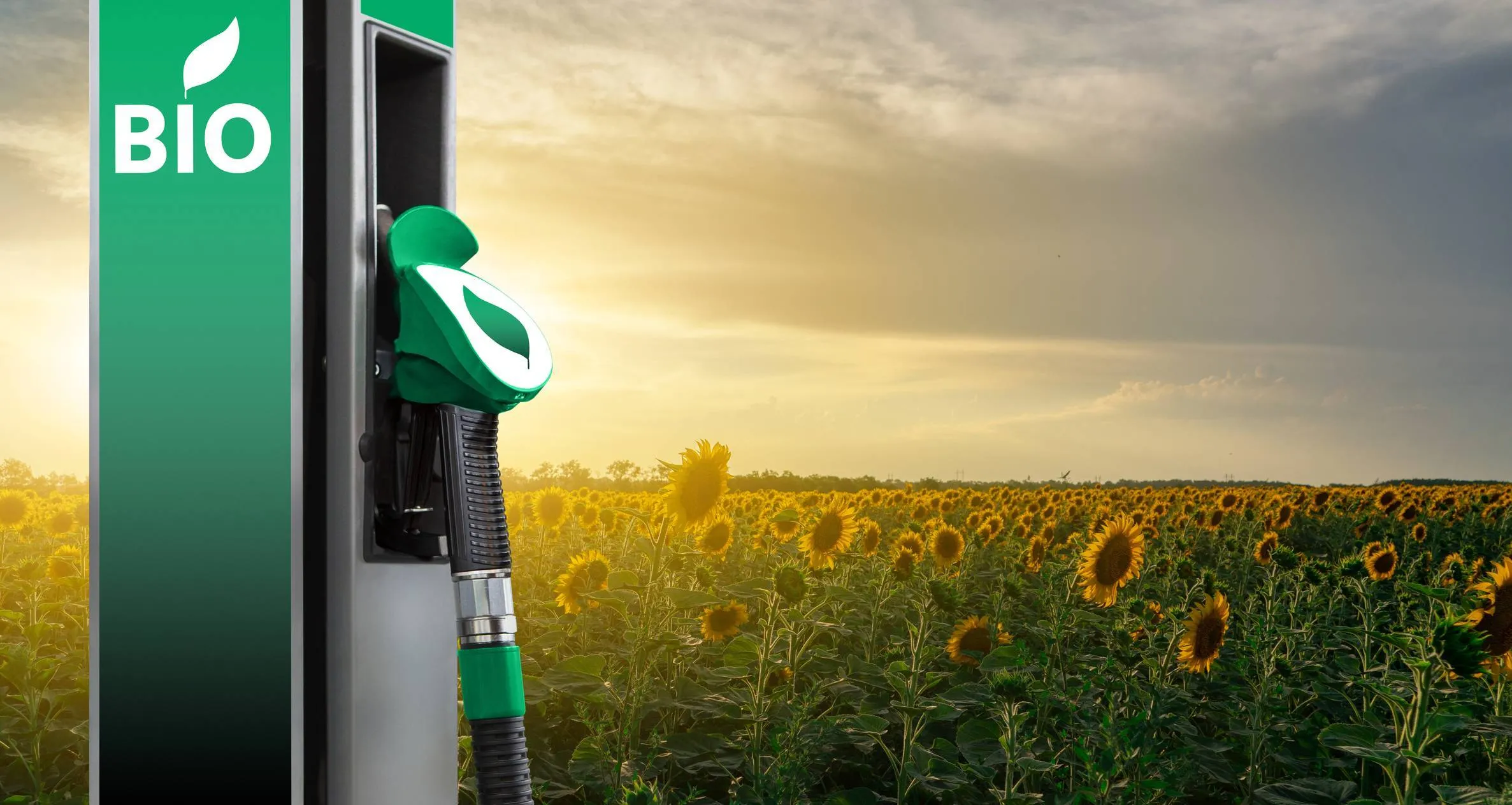 bioéthanol boitier de conversion E85