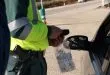 Sécurité routière : tout savoir sur le contrôle du taux d'alcool au volant