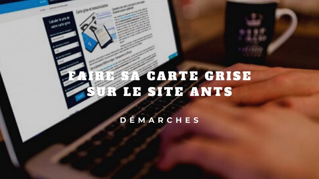 ants