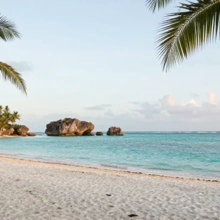 quel est le mieux entre guadeloupe et martinique