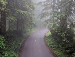 Comment réviser le Code de la route sur son smartphone ?