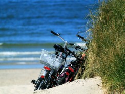 Comment transporter son vélo en voiture ?